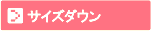 �T�C�Y�_�E��